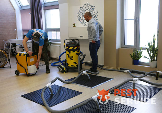 Профессиональная сушка после потопа в Златоусте от 3000 руб. Быстро устраняем влагу, предотвращаем плесень и повреждения. Современное оборудование и опытные специалисты. Безопасно и эффективно.